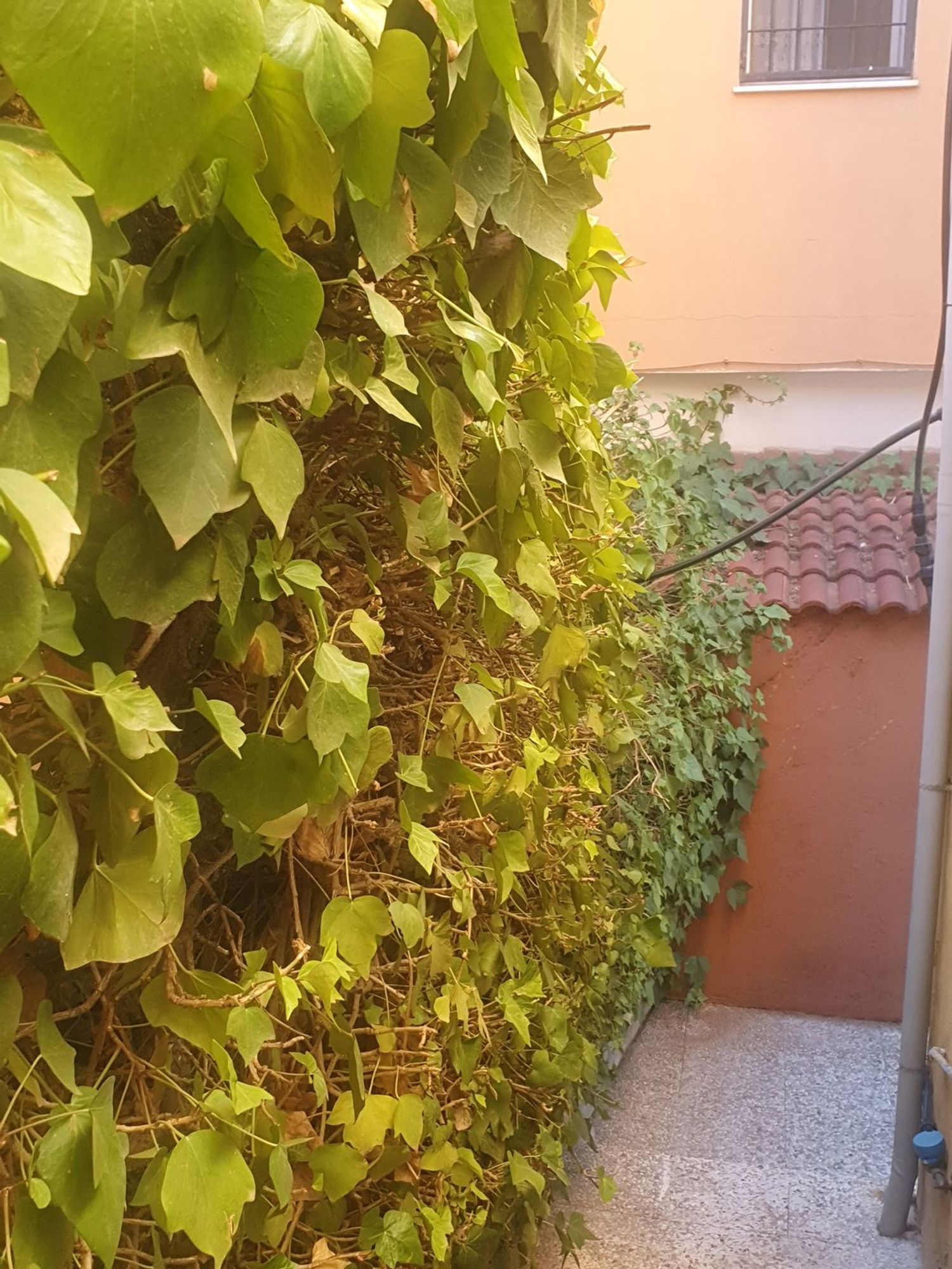 Piso en Calle España, 22 , bajo - Foto 11