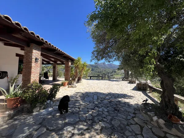 Finca rústica en Diseminado Diseminados, 276 - Foto 4