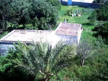 Finca rústica en - Foto 7