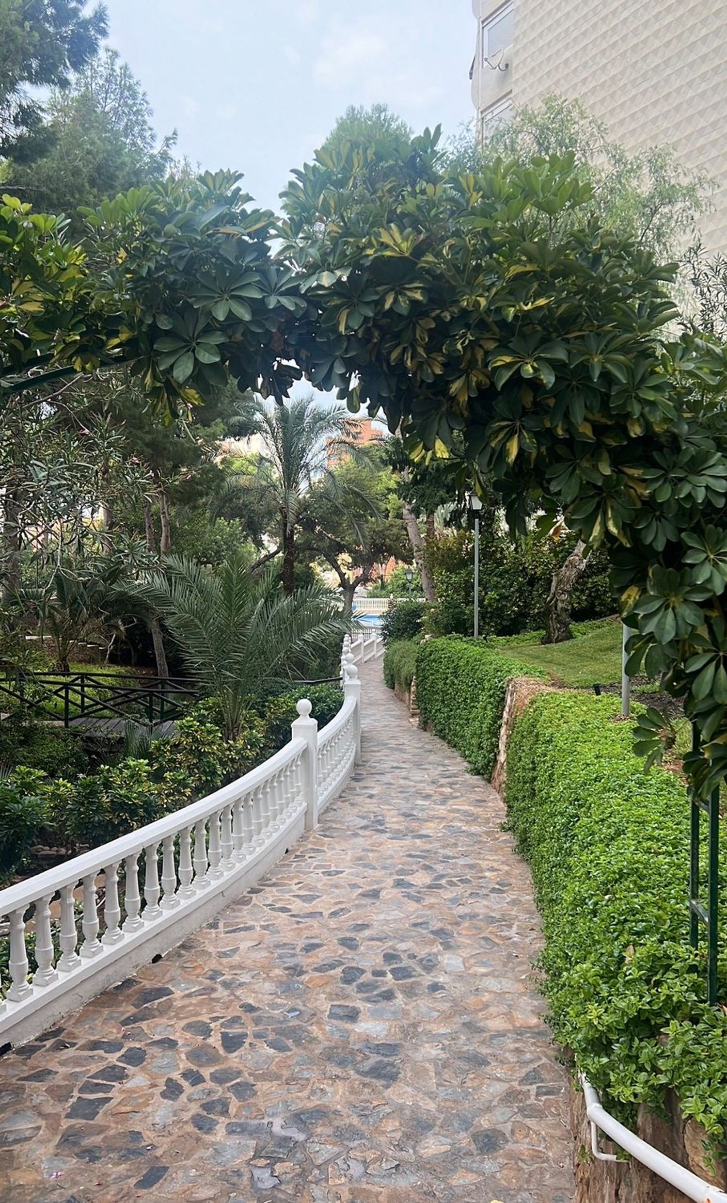Estudio en Avenida de París, 14, Zona Sierra Helada - Foto 14