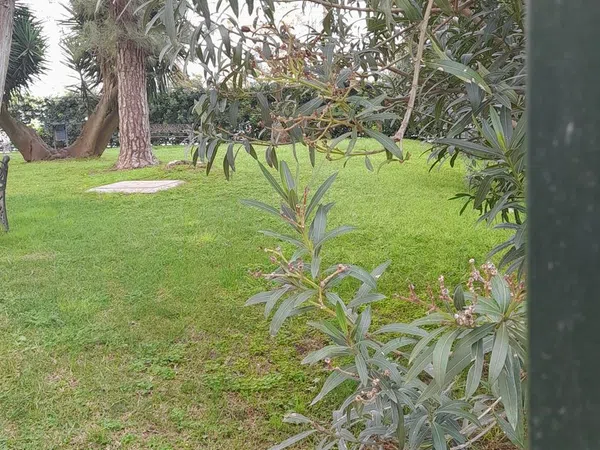 Piso en plaza del Caballo, 1 - Foto 29