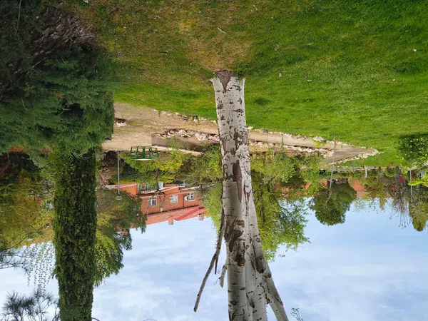 Chalet adosado en Zona Estación- Centro - Foto 3