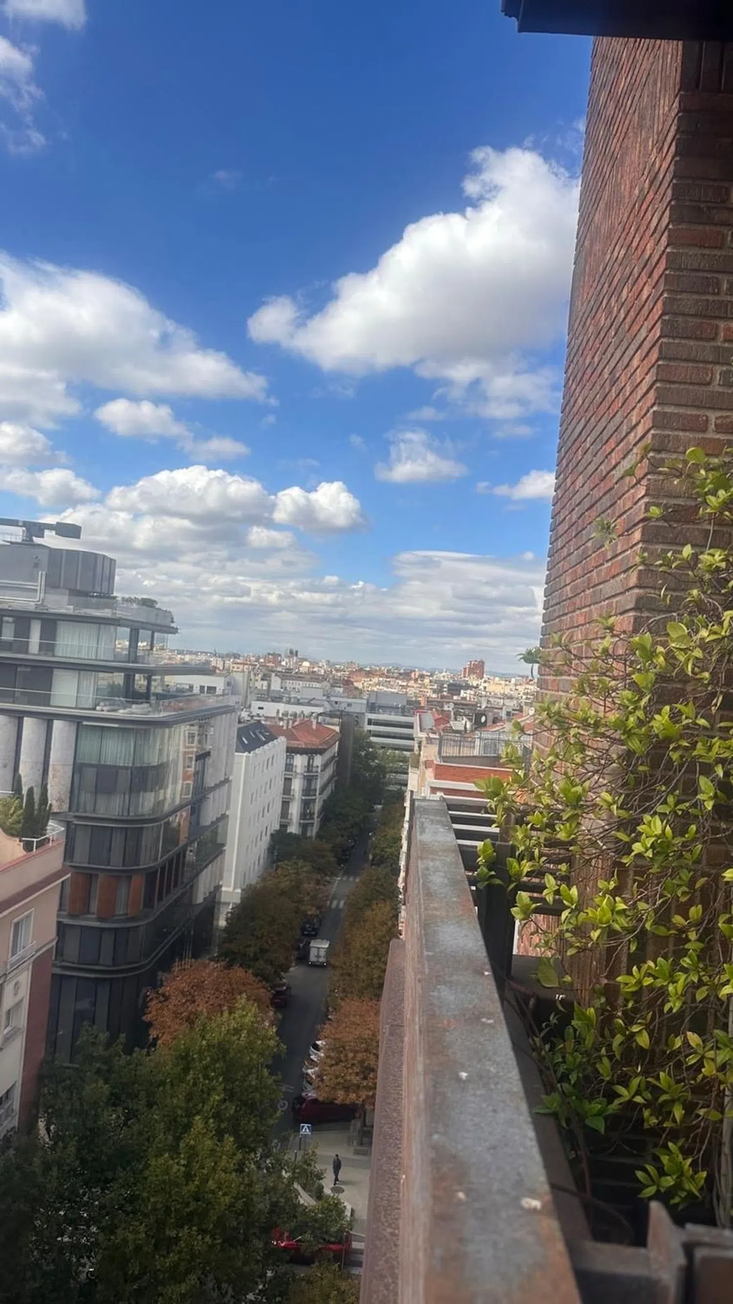 Ático en Barrio Castellana - Foto 5