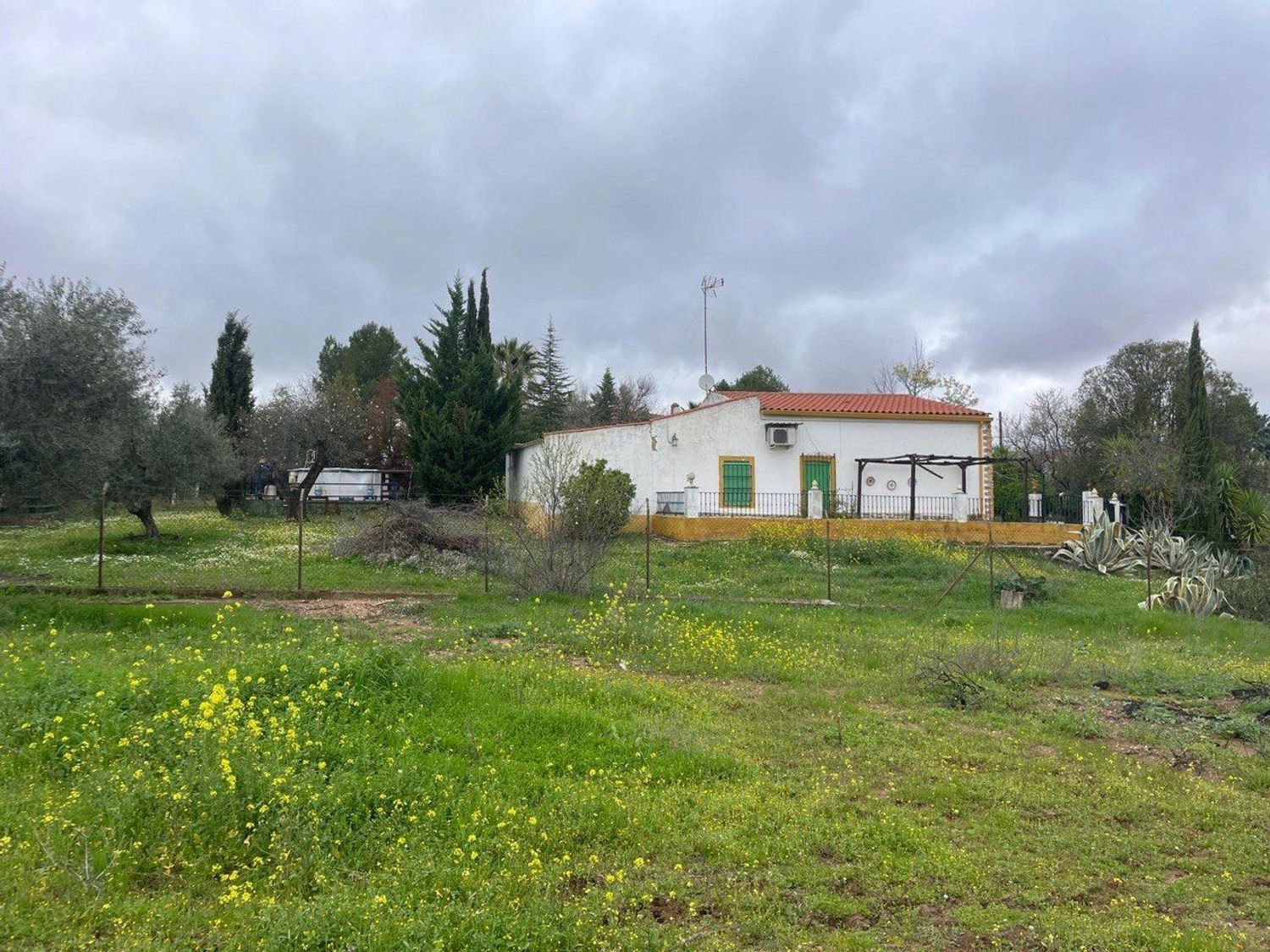 Casa o chalet independiente en Vereda de Cuéllar, 181 - Foto 8