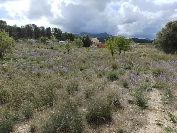 Casa independiente en Sierra de la Pila, 3 - Foto 15