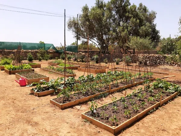 Finca rústica en Llucmajor Interior - Foto 22