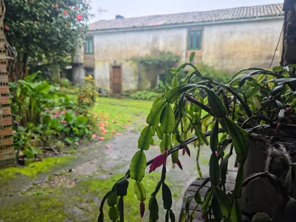 Casa o chalet independiente en Camino Portugués, 19 - Foto 1