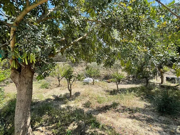 Casa rural en Carril De Las Parcelas, Campanillas - Foto 73