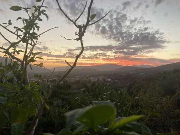 Finca rústica en Diseminado Diseminados, 1 - Foto 20