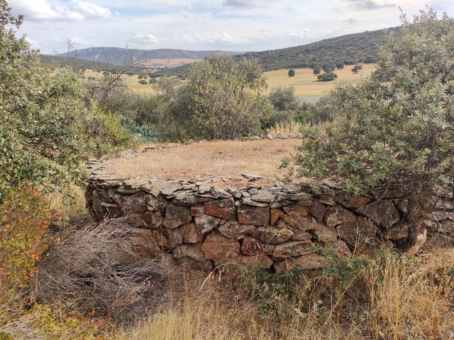 Cortijo en Camino de la Carretera de Almuradiel s/n - Foto 17