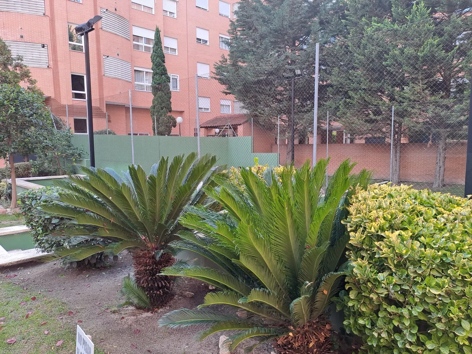 Piso en calle Carranque, 14 - Foto 28