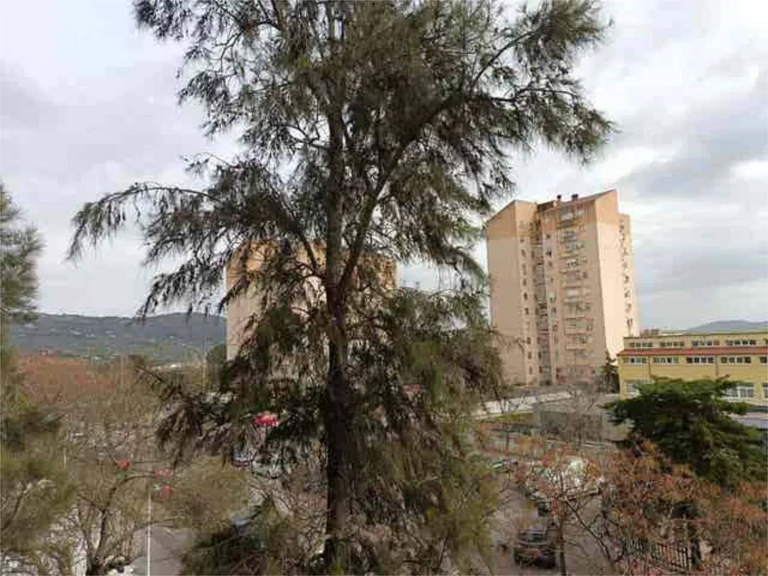 Piso en Charca Musia - Foto 7