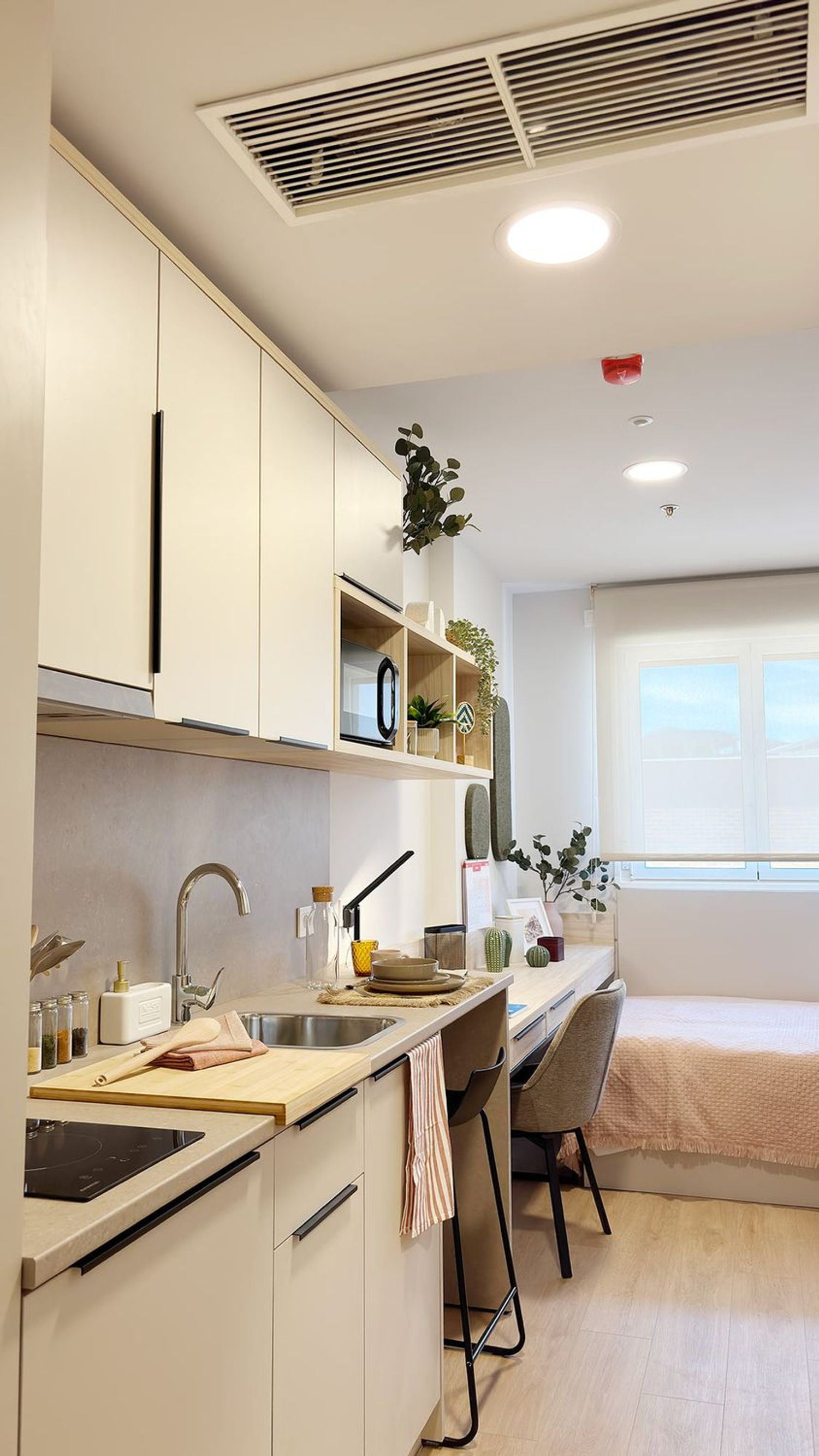 Estudio en avenida de la Democracia, 9 - Foto 5