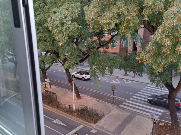 Piso en Av Blasco Ibáñez, Ciutat Jardí - Foto 48