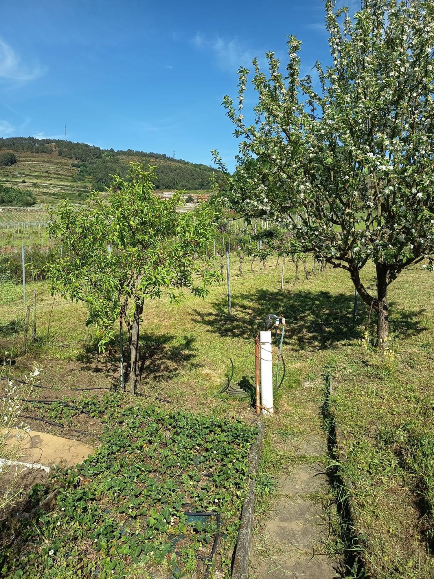 Casa de pueblo en Praza s/n - Foto 23