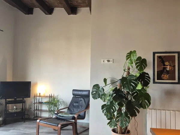 Piso en Barrio Navas - Foto 7