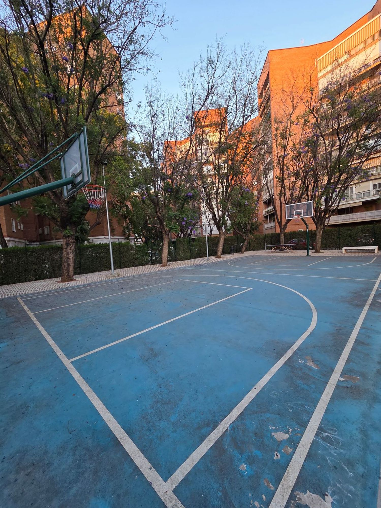 Piso en Avenida Manuel Siurot, 3 - Foto 14