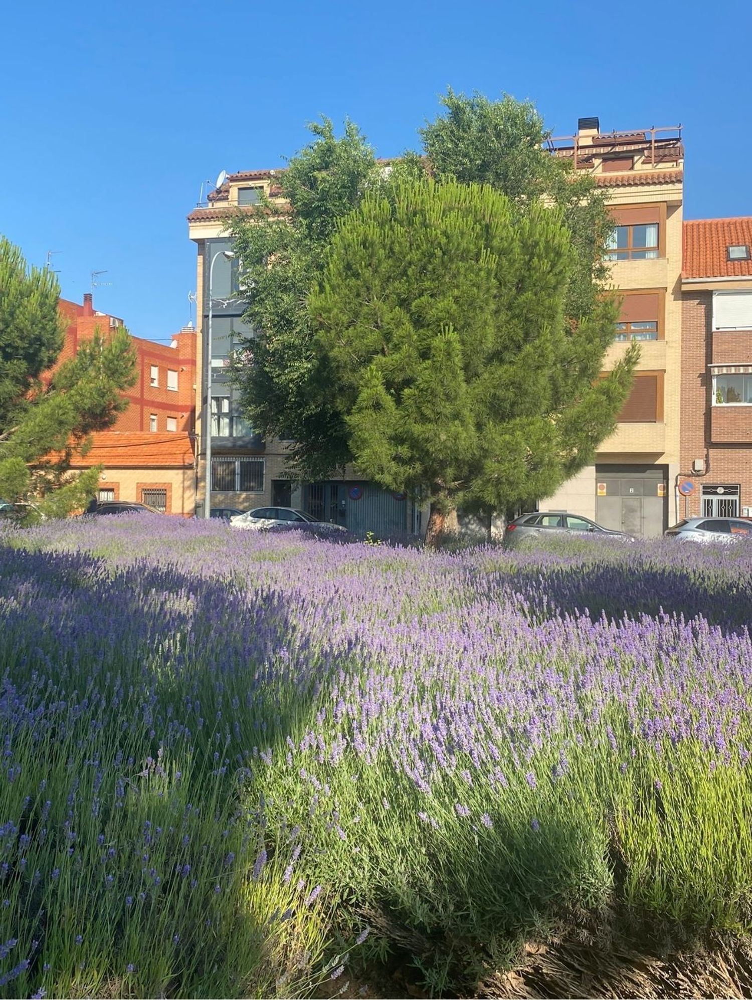 Piso en Calle Alegría, 12, Valdepelayo-Montepinos-Arroyo Culebro - Foto 28