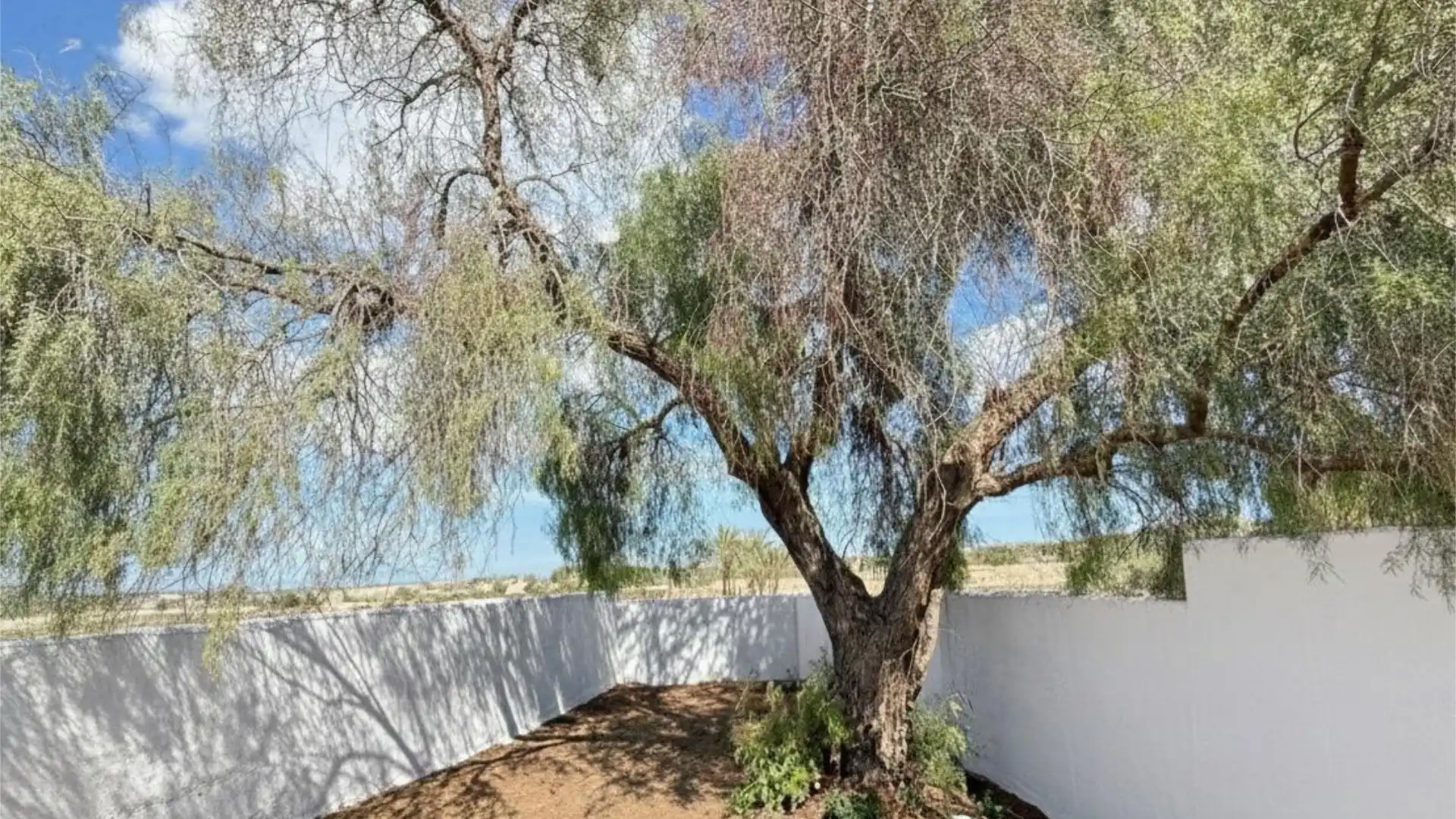 Chalet en  Partida Marina 1036A - Foto 8