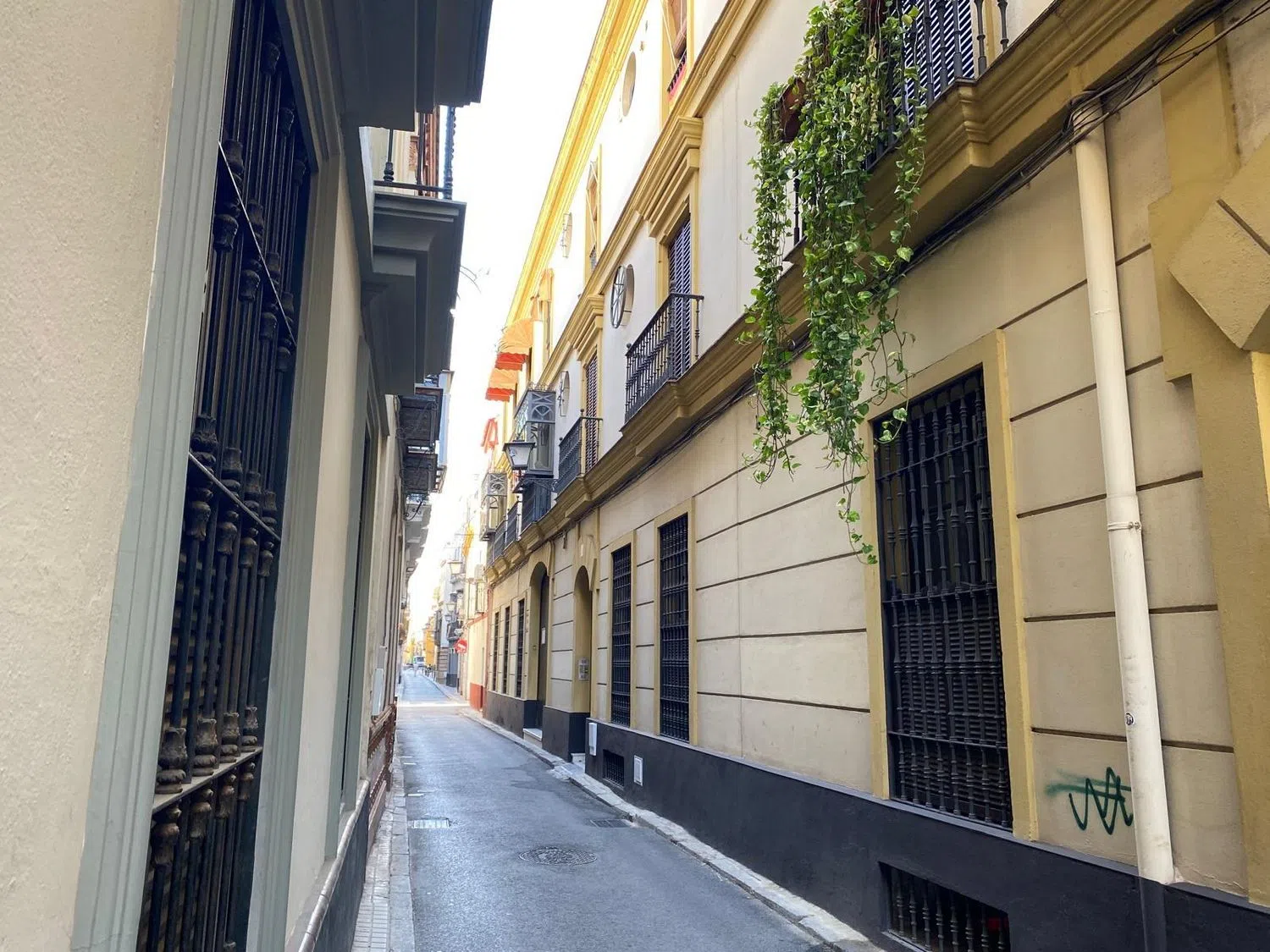 Piso en calle Miguel Cid, 16 - Foto 1