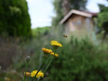 Chalet en Sant Antoni de Vilamajor - Foto 6