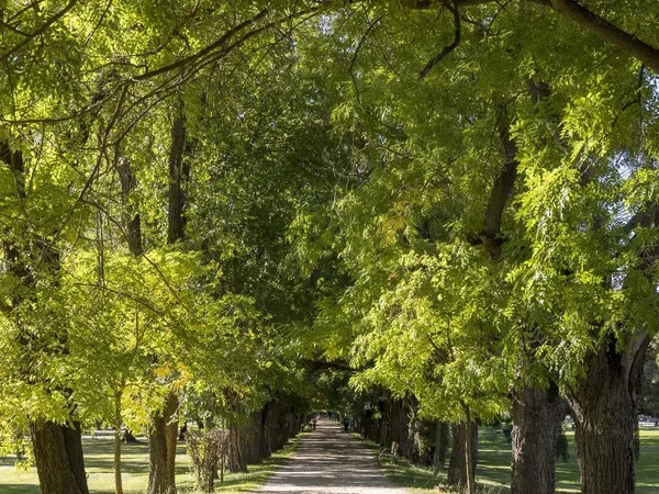 Dúplex en Urbanización Noray, 1 - Foto 23