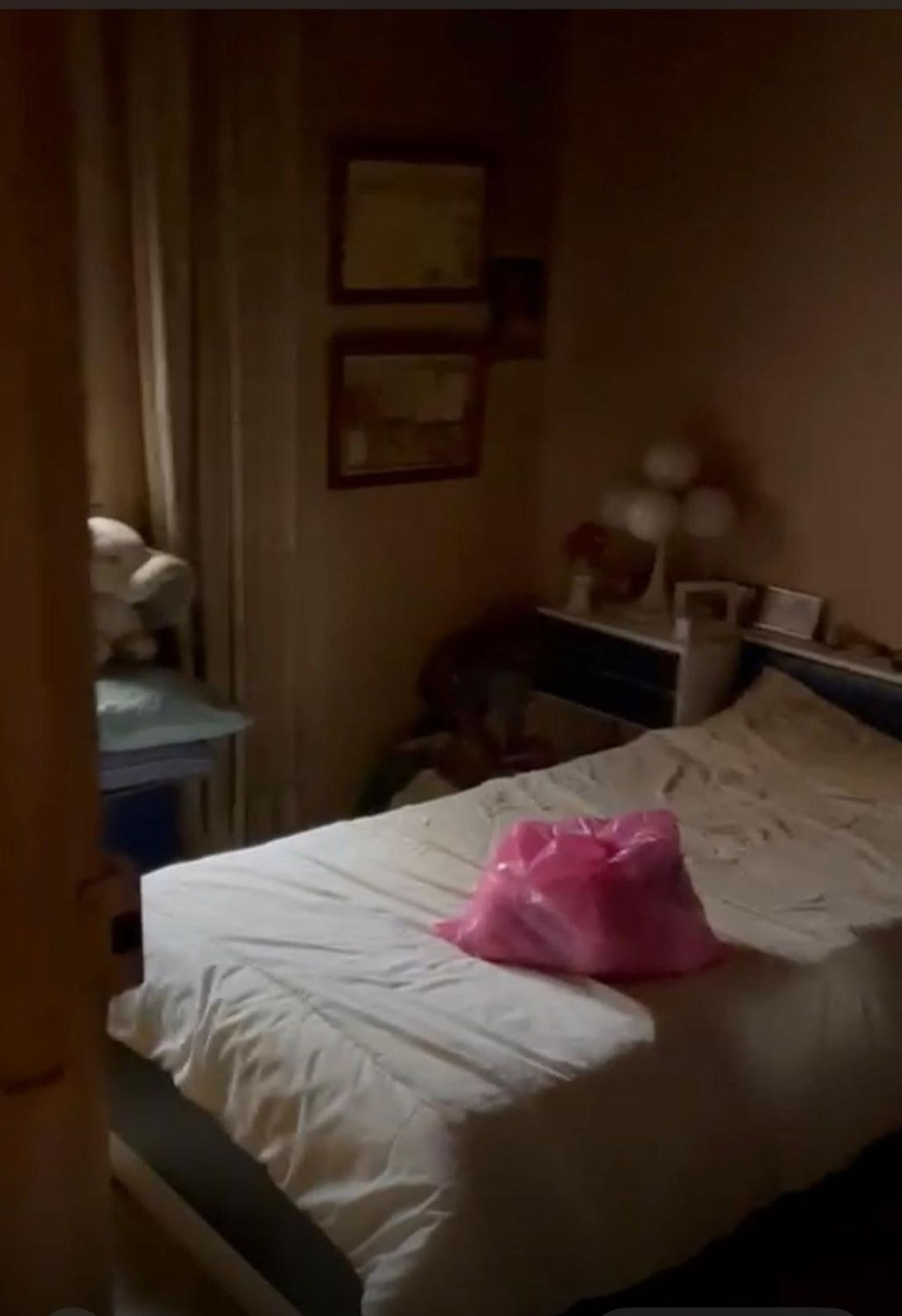 Piso en calle de Arriaza, 10 - Foto 2