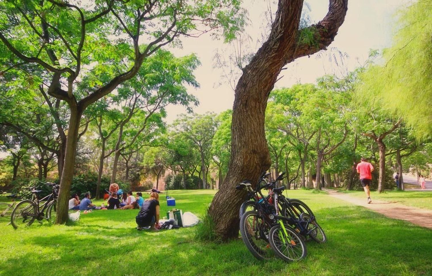 Piso en calle del Naturalista Arévalo Baca, 1 - Foto 22