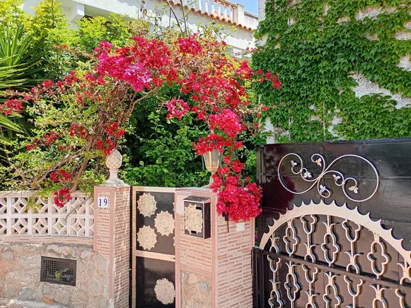 Casa o chalet independiente en Calle del Recholar, 12, El Balcó - Jaume I, El Balcó - Jaume I - Foto 3