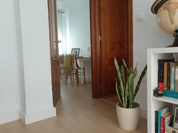 Piso en Doctor Marañon, 1 - Foto 9