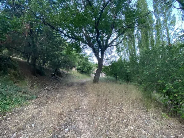 Finca rústica en Sn s/n - Foto 24