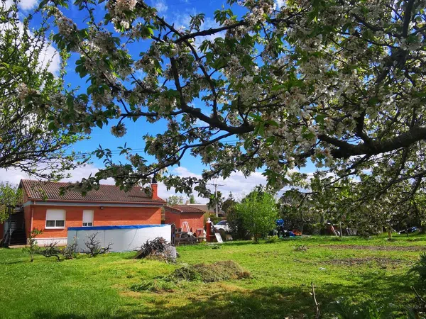 Finca rústica en Urbanización Majada 2, 40 - Foto 7