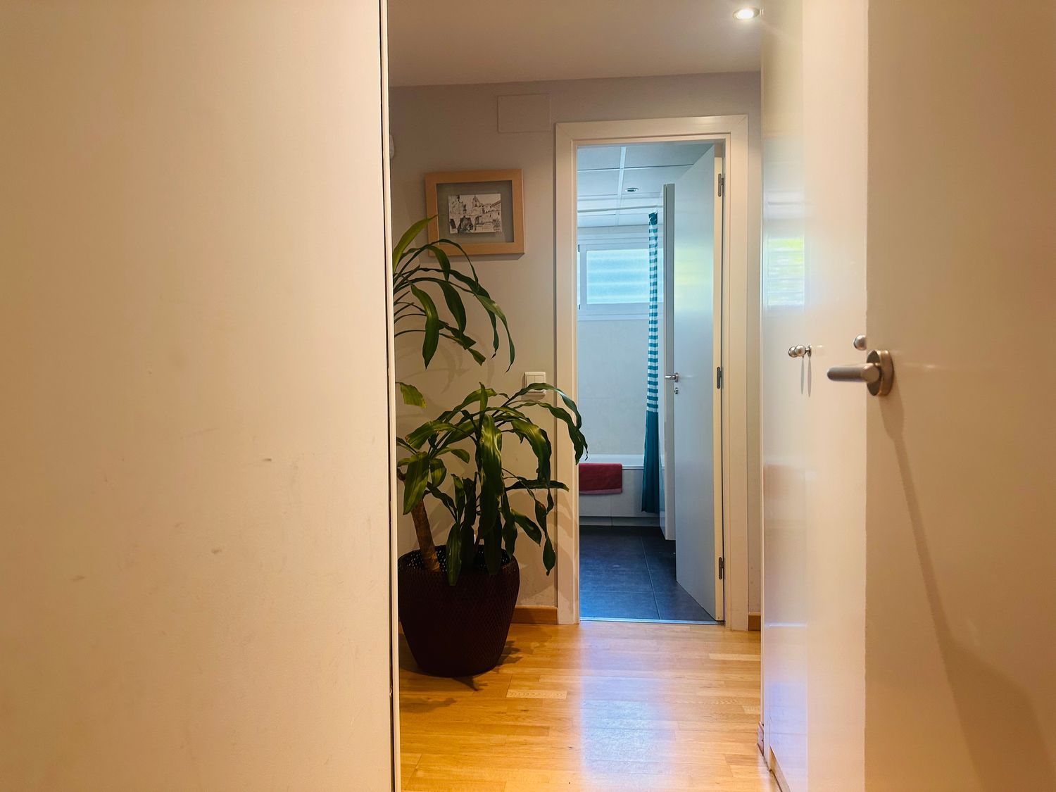 Piso en Juniperos, El Cantizal - Foto 35