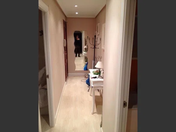 Piso en Ramón y cajal etorbidea, 33, San Pedro de Deusto - Foto 2