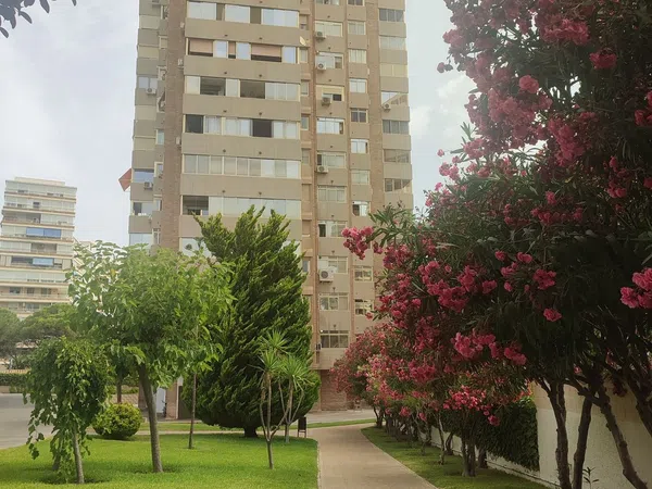 Piso en Avenida de Cataluña, 33, Cabo de las Huertas - Foto 7
