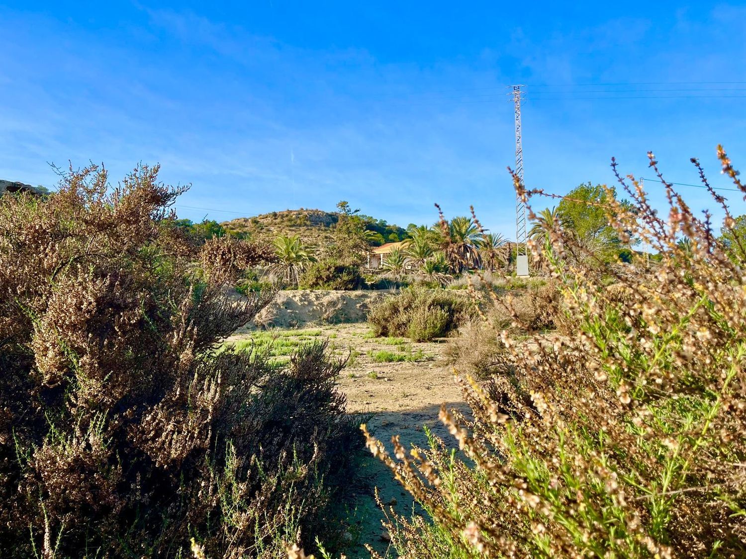 Finca rústica en camino Viejo de Saladas, 2 - Foto 8