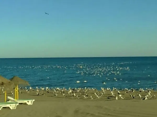 Piso en calle Trocadero, 1 - Foto 21