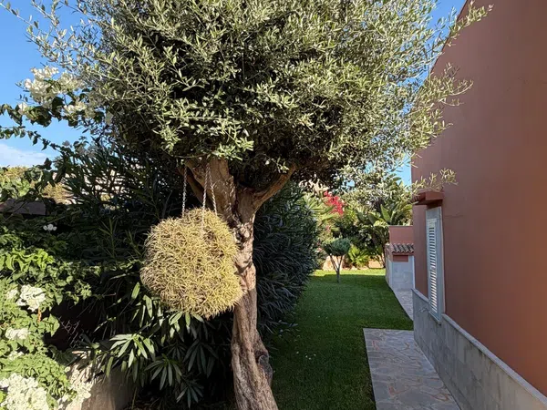 Casa o chalet independiente en Calle des Ferrallo M, 25, Cala Figuera, Cala Figuera - Foto 30
