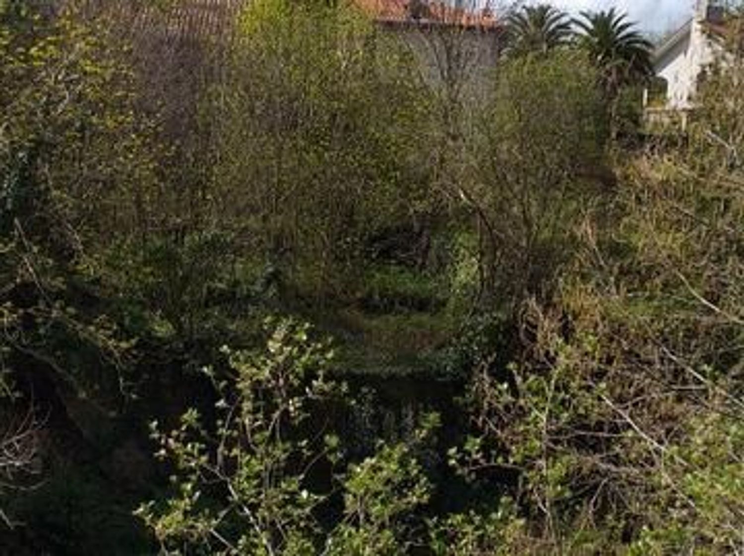 Casa de pueblo en Barrio Real Sitio, 20 - Foto 3