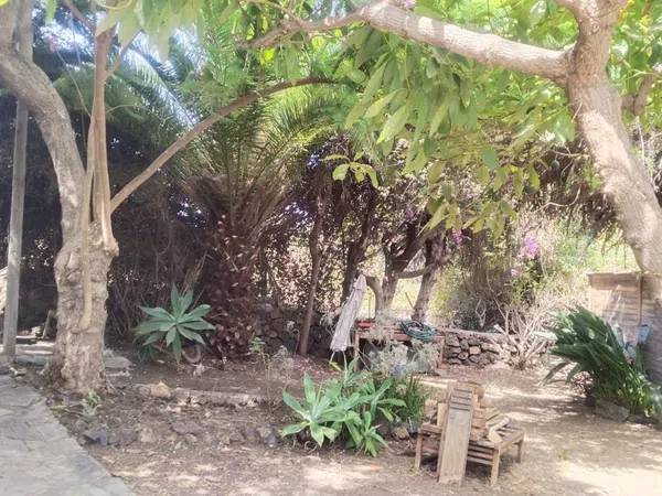 Finca rústica en Carretera Enlace el Ramal, 18 L, Centro, Centro - Foto 1