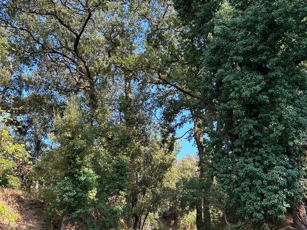 Casa terrera en Veral de Cal Negre, 19 - Foto 22