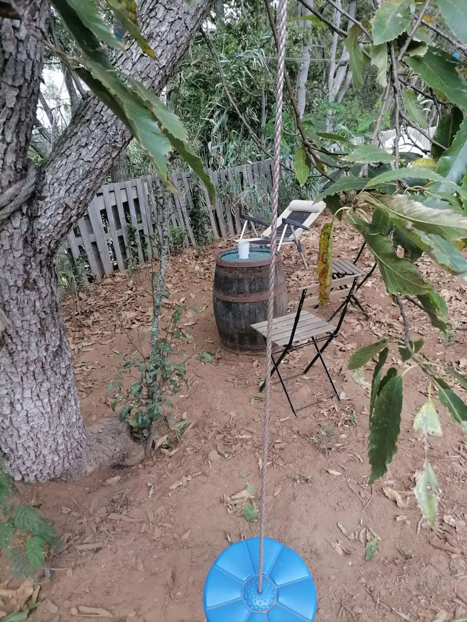 Finca rústica en camino el Laurel, 5555 - Foto 21