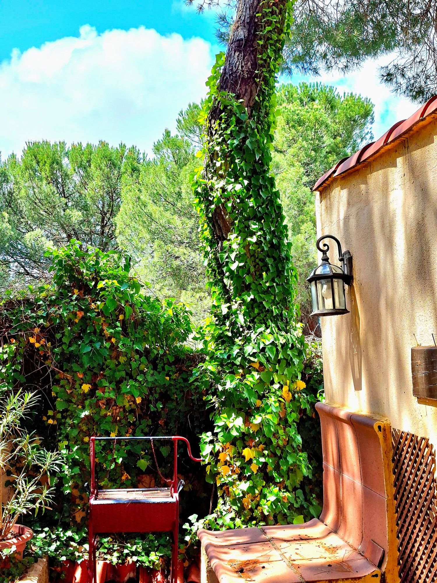 Casa o chalet independiente en Calle Sierra, 9 - Foto 15