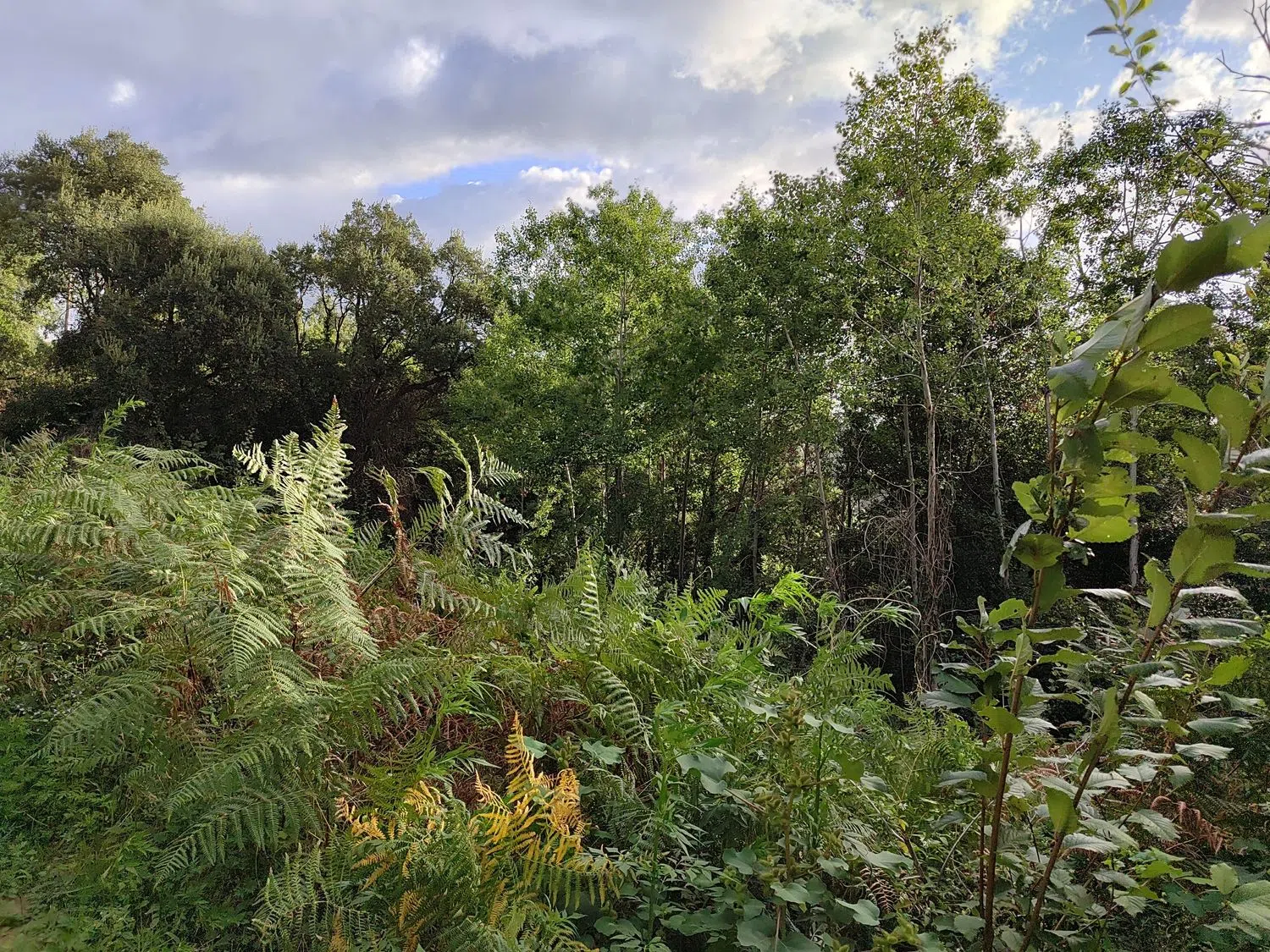 Casa independiente en Urb Roca Rossa s/n Sn - Foto 4