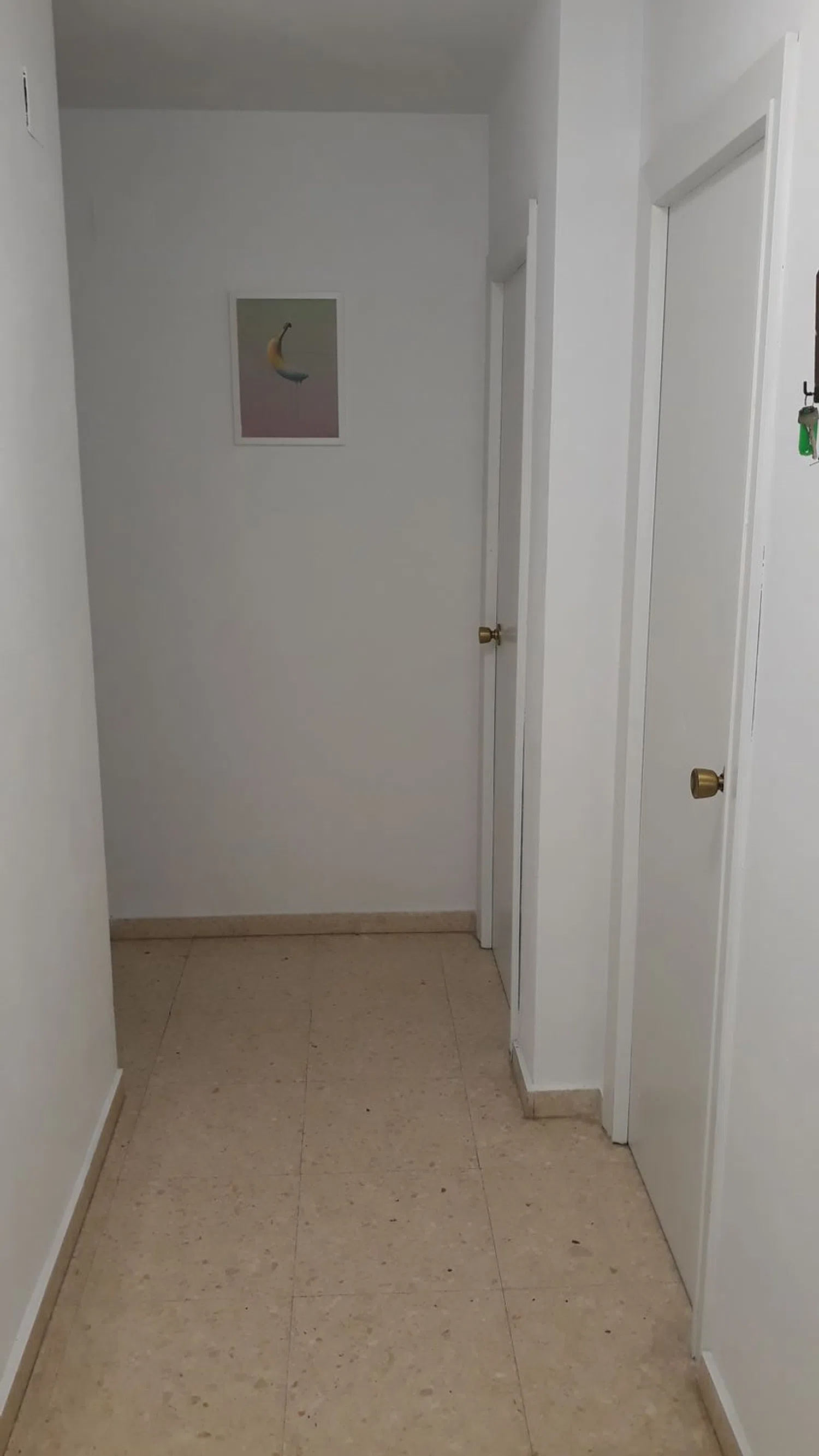 Piso en calle de l'Actor Ismael Merlo s/n EdificioElCisne - Foto 14