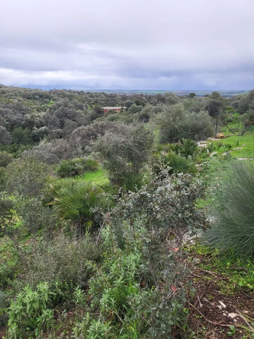 Finca rústica en  Calle Héctor Villa-Lobos 5 - Foto 9