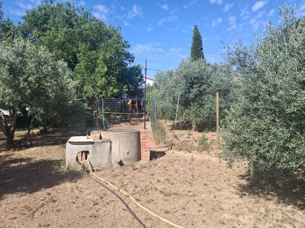Finca rústica en Camino de los chalets s/n - Foto 8