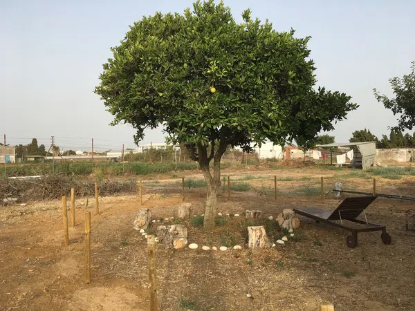Finca rústica en Camino de la Jara s/n, La Jara, La Jara - Foto 6