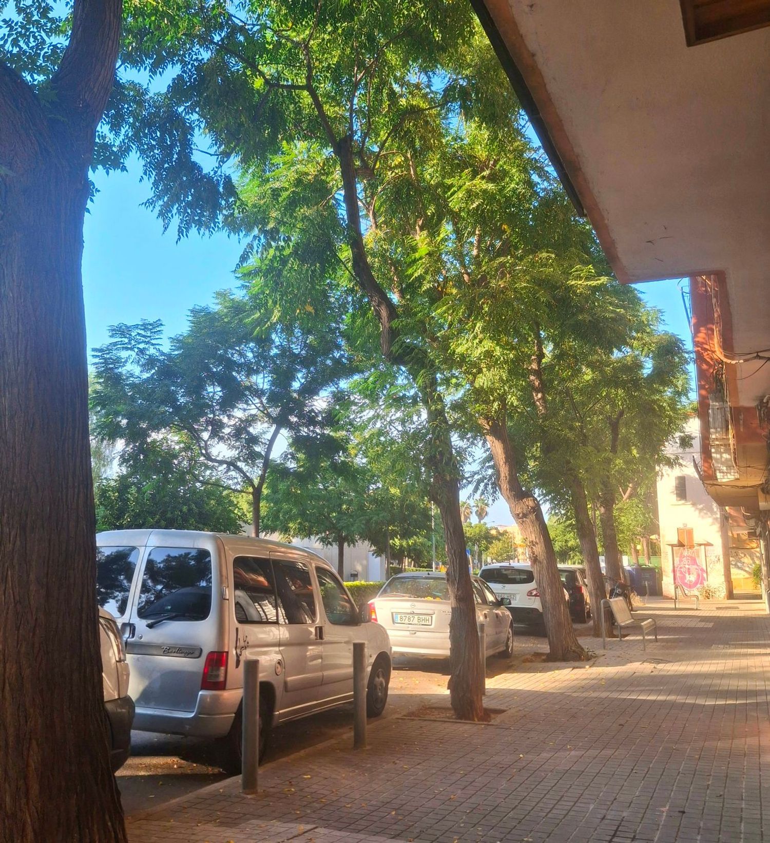 Piso en Calle Rocafort, 14, Barranquet - El Salvador, Barranquet - El Salvador - Foto 33