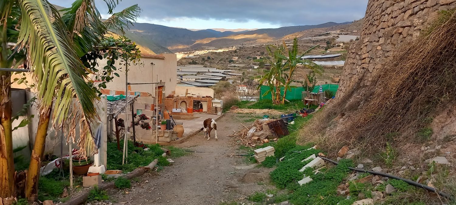 Cortijo en Cortijo en cercado, 22 - Foto 4